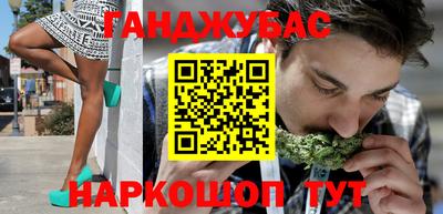 крисы Гагарин