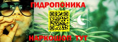 гашишное масло Гатчина