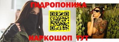 крисы Гагарин