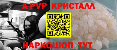 крисы Гагарин