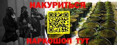 гашишное масло Гатчина