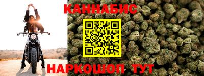 крисы Гагарин