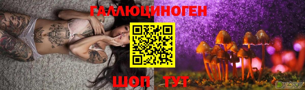 Галлюциногенные грибы GOLDEN TEACHER Киселёвск